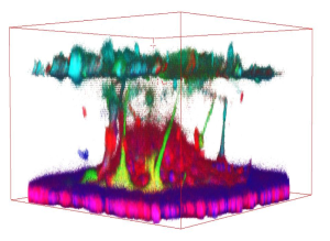 Neuron vascular unit modelling